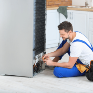 Fridge repairs